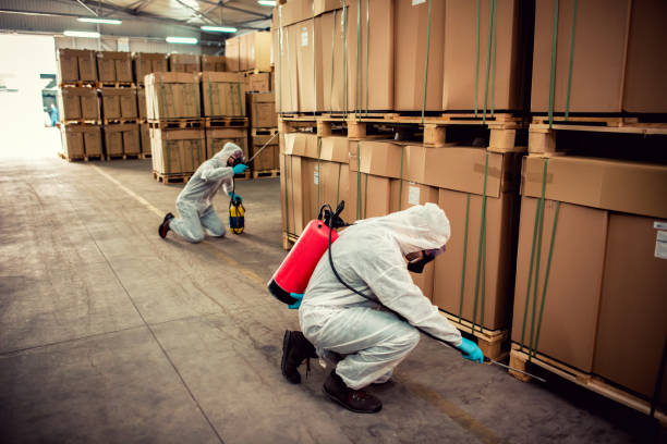 Best Pest Removal Services  in Wilton Center, CT