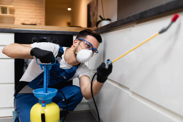 Best Cockroach Control Services  in Wilton Center, CT
