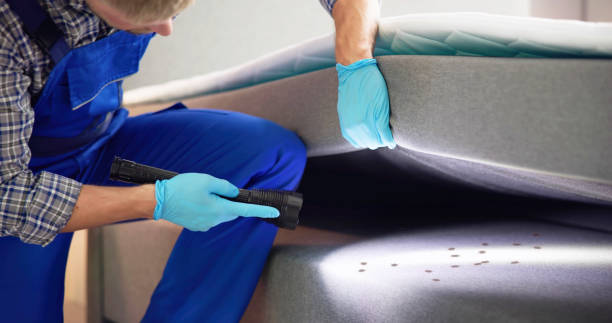 Best Best Pest Control Companies  in Wilton Center, CT