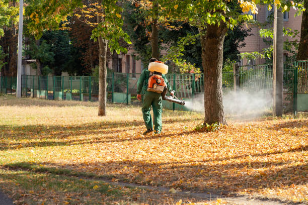 Flea Control Services in Wilton Center, CT